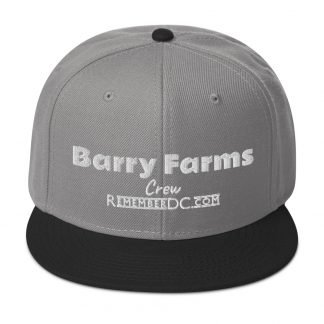 Hat - Barry Farms Crew - RememberDC Snapback Hat