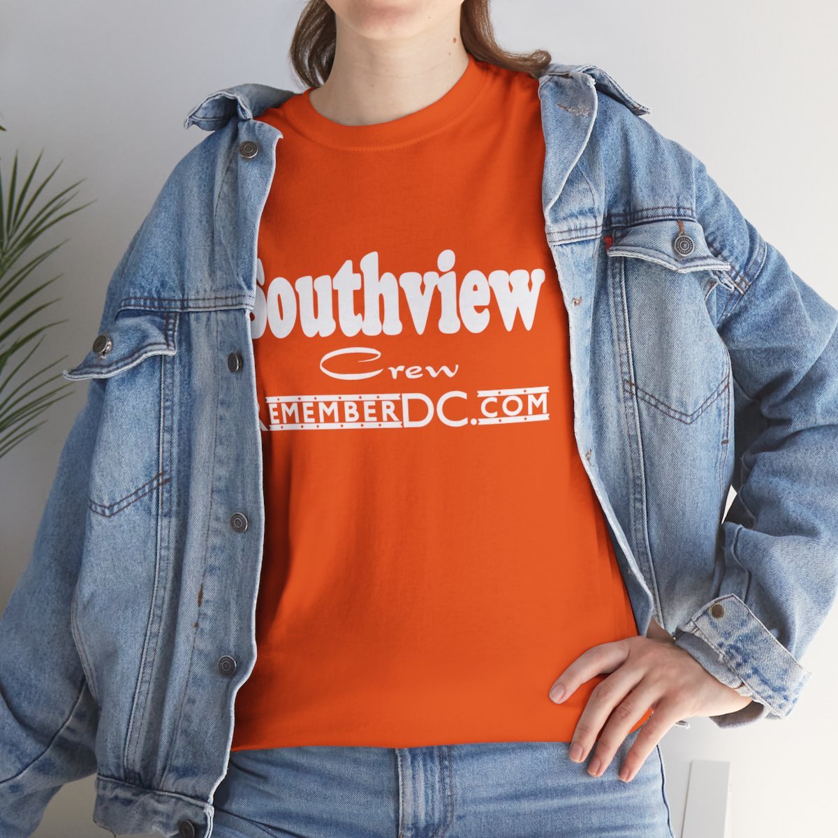 *Tee - Southview Crew Tee – Remember DC! 13 Color Options - Image 21